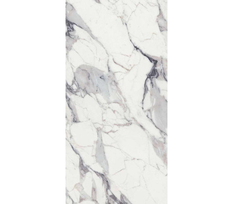 LES ORIGINES DE REX ARGENT GLOSSY 60X120