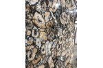 ULTRA AGATA AGATA ATENA LUC SHINY 300x150