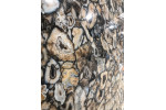 ULTRA AGATA AGATA ATENA LUC SHINY 300x150
