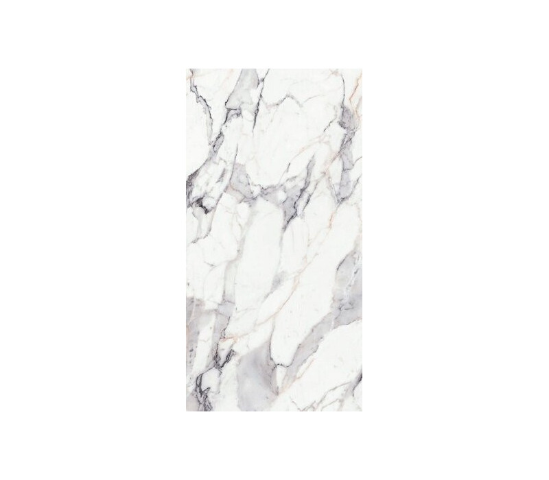 ORIGINES DE REX ARGENT MAT 6MM 60X120 R (769979) 60х120