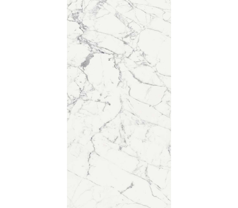 ORIGINES DE REX BLANC MAT 6MM 60X120 R (769981) 60х120