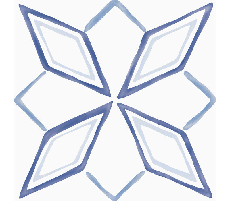 DRAW STAR/22,3