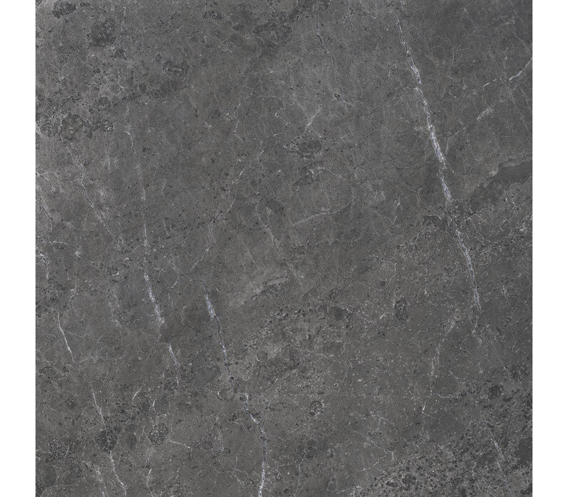 ALPINE ANTH SP/100X100/R