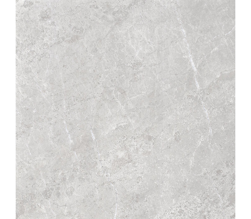 ALPINE GREY SP/100X100/R