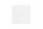 ALPINE WHITE SP/100X100/R