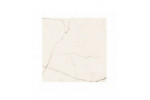 STA VP6 120 LP (STAVP6120LP) 120x120