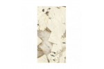 ULTRA MARMI PATAGONIA PRELUCIDATO 75x37,5