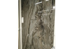 Prexious Dream Arabesque Glossy 60x120