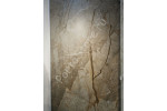 SAN PE6 260 RM (SANPE6260RM) 120x260
