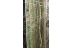 ECCENTRIC LUXE MINT GLOSSY 60x120 RET (778841)