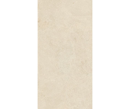 AUTHENTIC LUX ST MONTP MATLEA 60X120 6MM (781133)