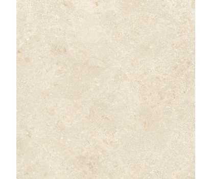 AUTHENTIC MONTPELL. LEATHER M. 60x60 RET 9MM (780976)