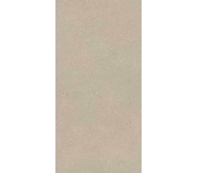 AUTHENTIC S.CHABLIS.GRI.20MM 60X120 RET (781003)