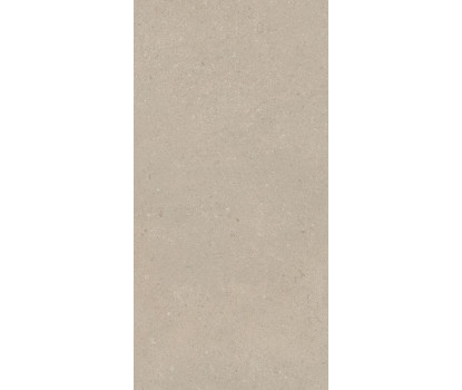 AUTHENTIC S.CHABLIS.GRI.20MM 60X120 RET (781003)