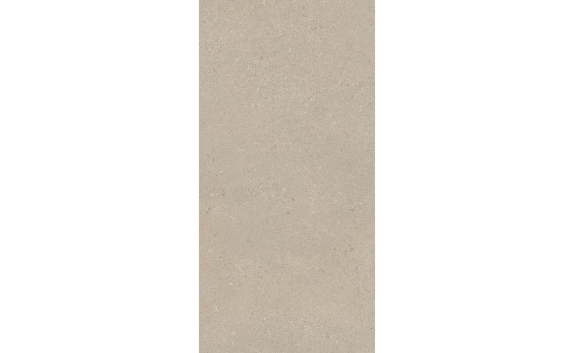 AUTHENTIC S.CHABLIS.GRI.20MM 60X120 RET (781003)