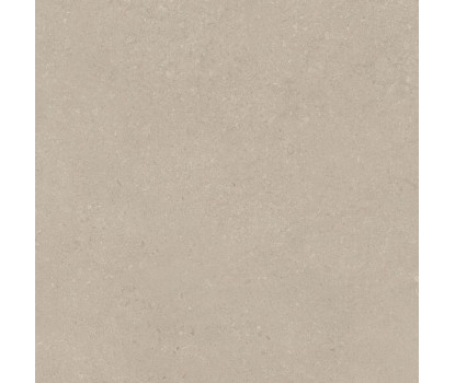 AUTHENTIC S.CHABLIS.GRI.20MM 120x120 RET (781105)