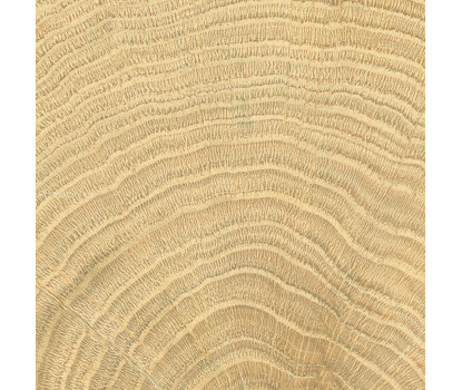 Burwood Oak Matt матовый керамогранит