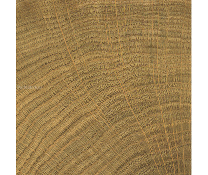 Burwood Walnut Matt матовый керамогранит