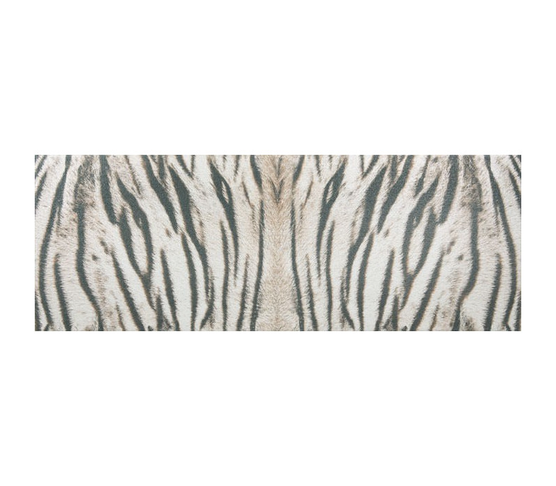 TIGER/R