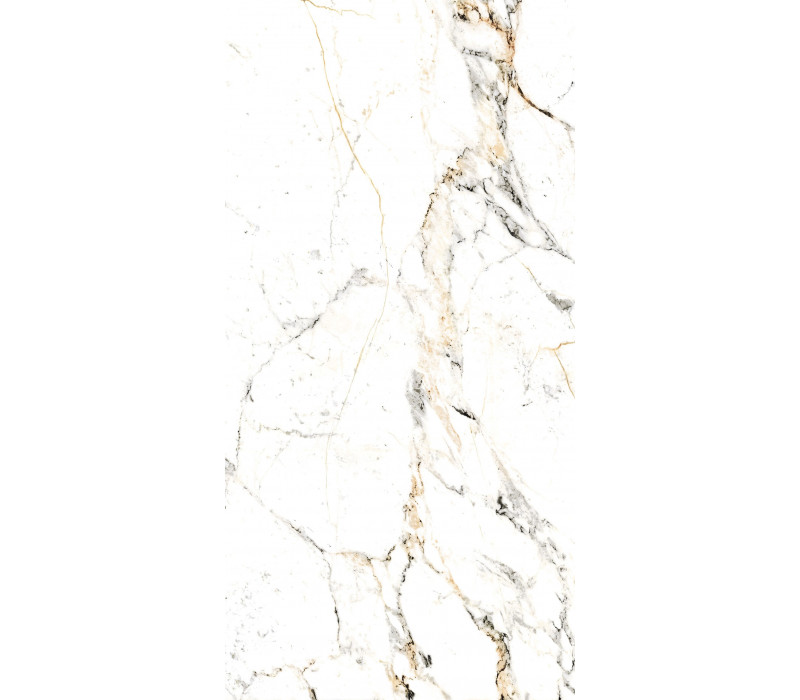 TUCCI GOLD/60X120/P