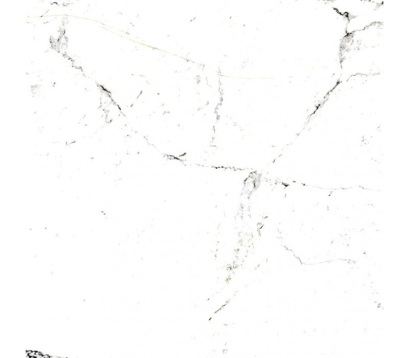 TUCCI BLACK/60X60/P