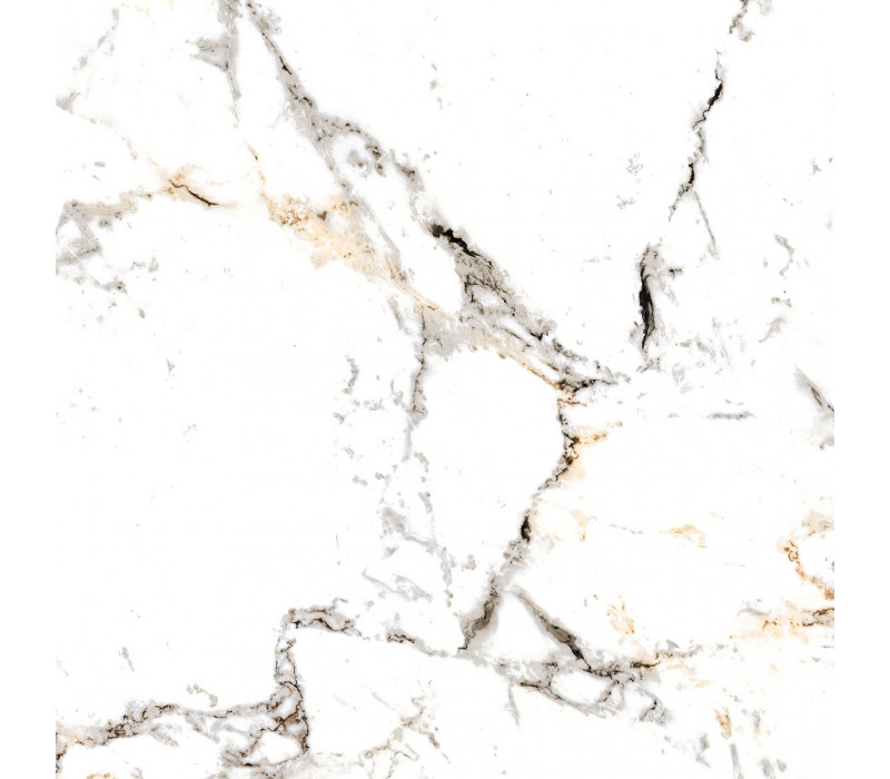TUCCI GOLD/60X60/P