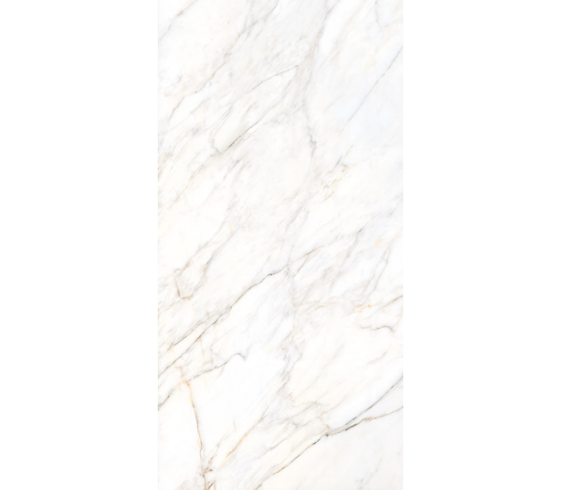 GIOIA SILVER/60X120/EP