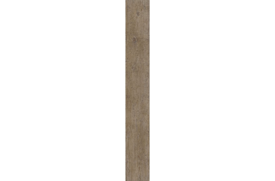 ANCIENT-C/15/R