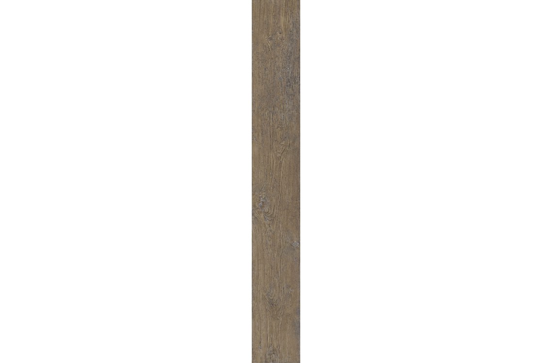 ANCIENT-C/19,5/R