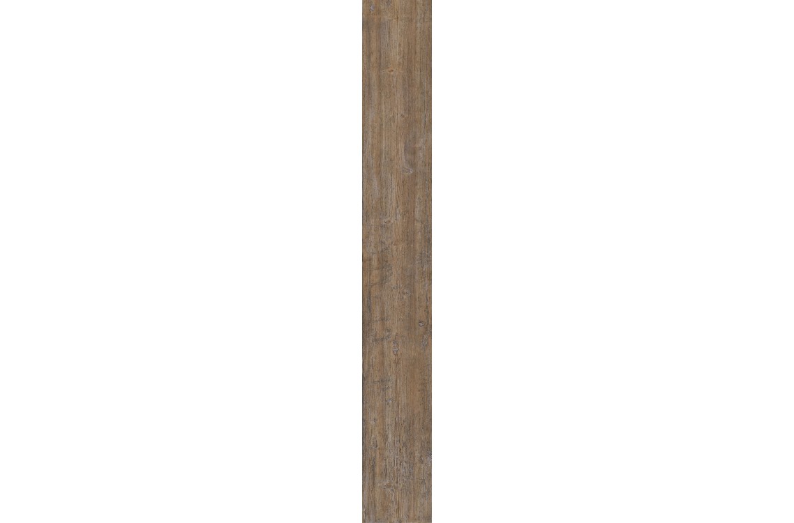 ANCIENT-C/23X180/R