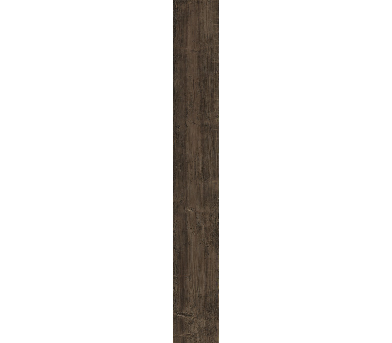 ANCIENT-T/15/R