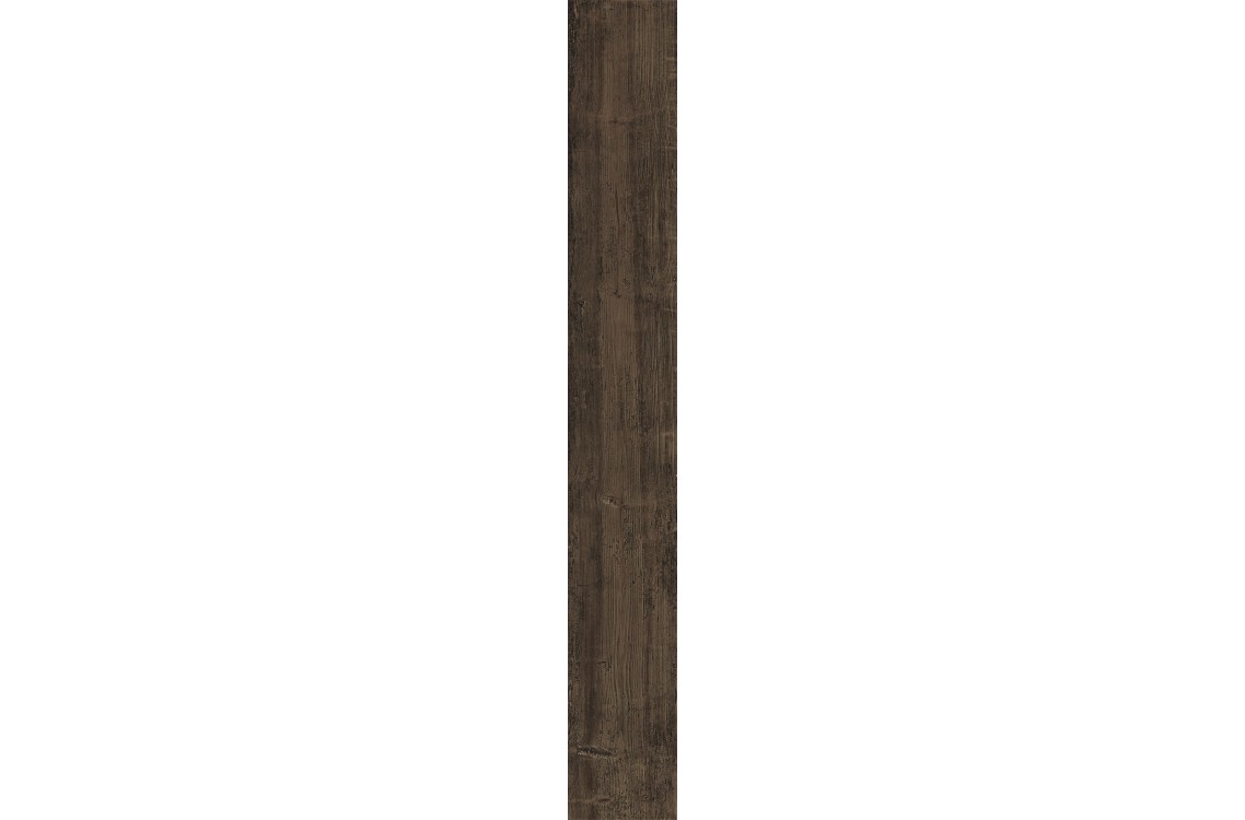 ANCIENT-T/15/R