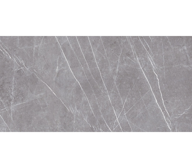 GREYSTONE ARGENT/60X120/NAT/R