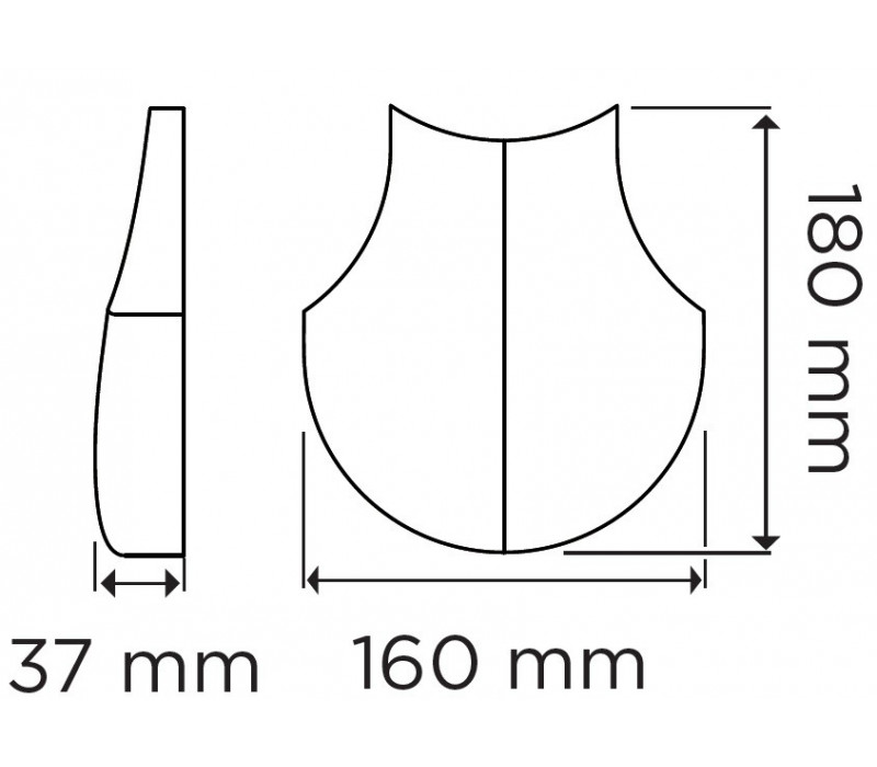 SHINGLE 1