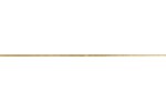 CENTRAL GOLD LISTA