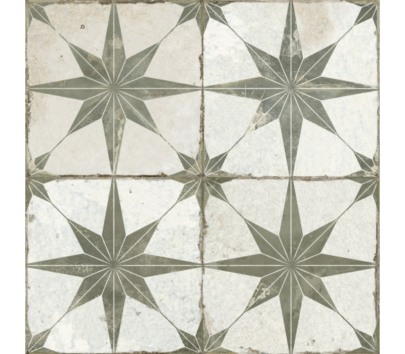 FS STAR SAGE