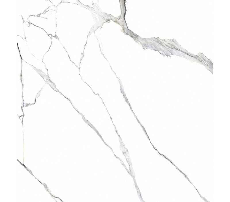 STATUARIO SPLENDENTE LAPP/RETT 120x120