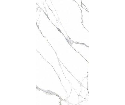 STATUARIO SPLENDENTE LAPP/RETT 60x120