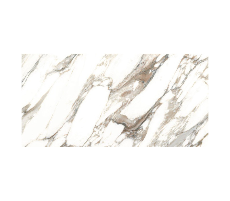 MACCHIA VECCHIA/60X120/EP