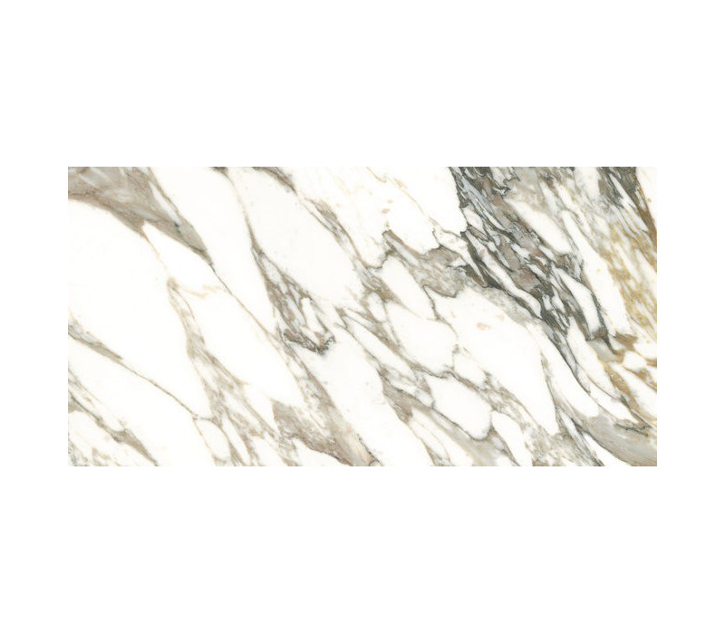 MACCHIA VECCHIA/75,5X151/EP