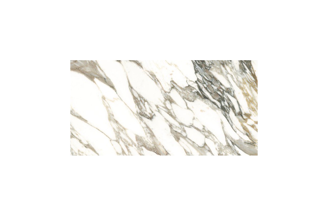 MACCHIA VECCHIA/75,5X151/EP