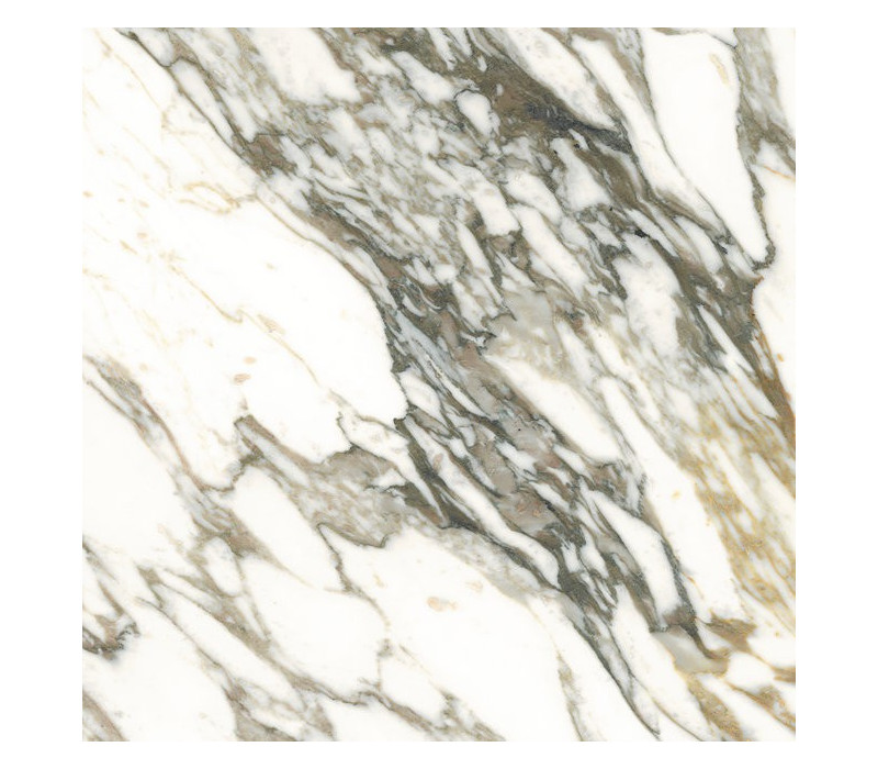 MACCHIA VECCHIA NT/100X100/C/R
