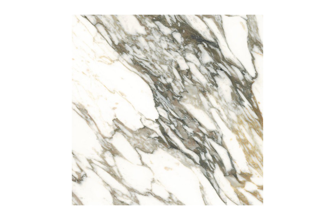 MACCHIA VECCHIA/100X100/P