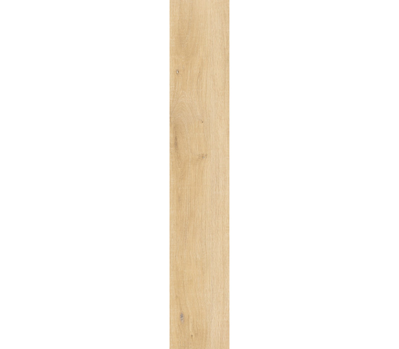 WHISTLER HONEY/24X151/R