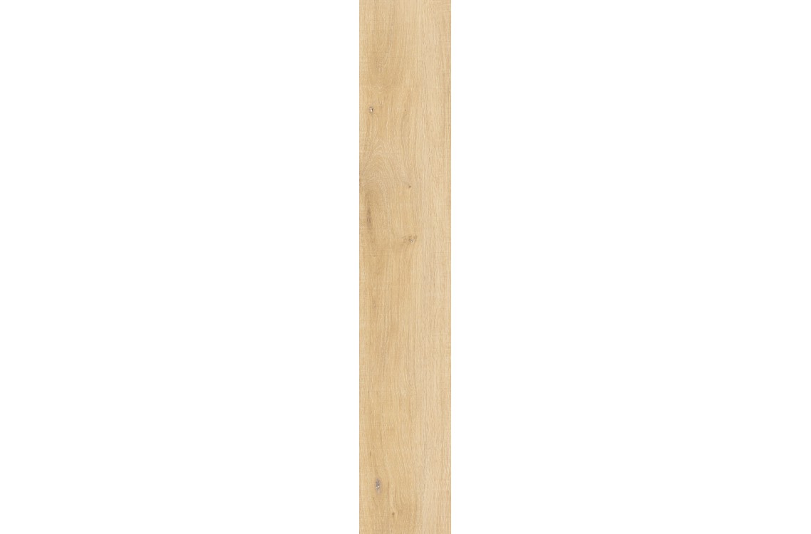WHISTLER HONEY/24X151/R
