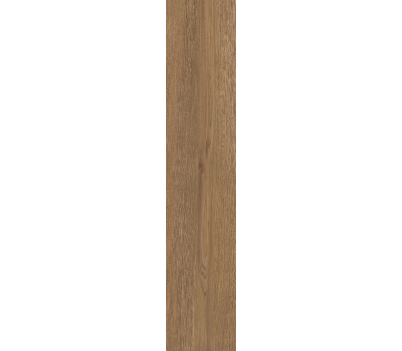 MORITZ CAMEL