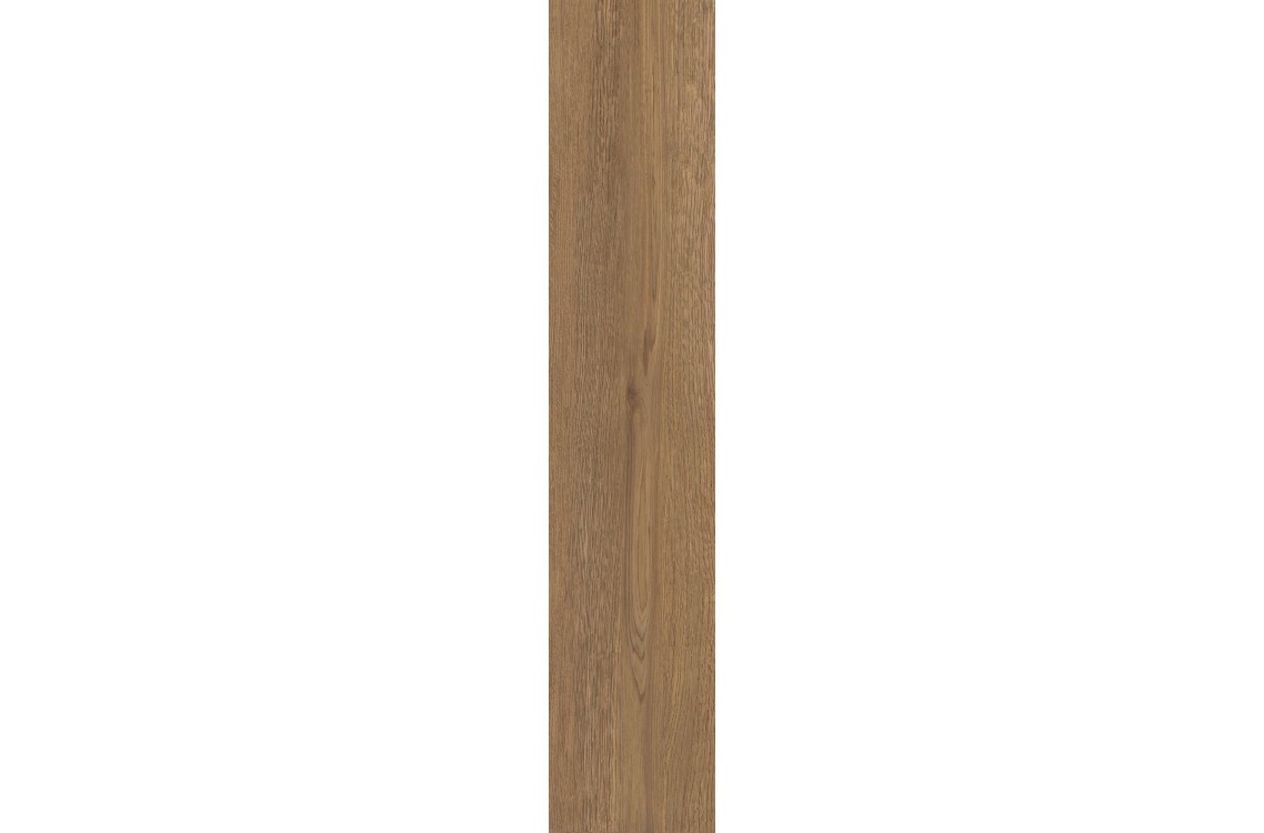 MORITZ CAMEL