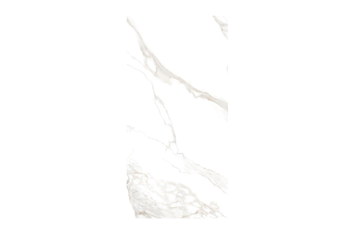 TORANO GOLD/60X120/EP