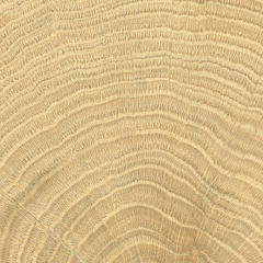 Burwood Oak Matt матовый керамогранит